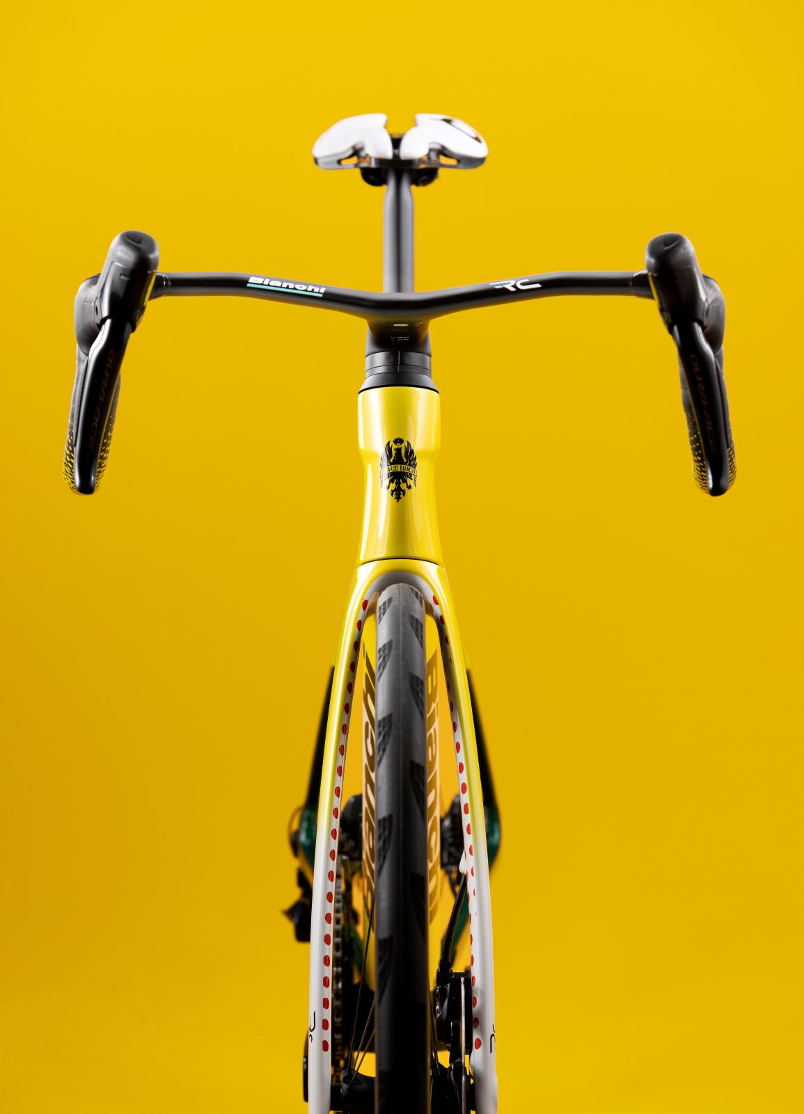 bianchi-specialissima-rc-tour-de-france-rahmenset image 4