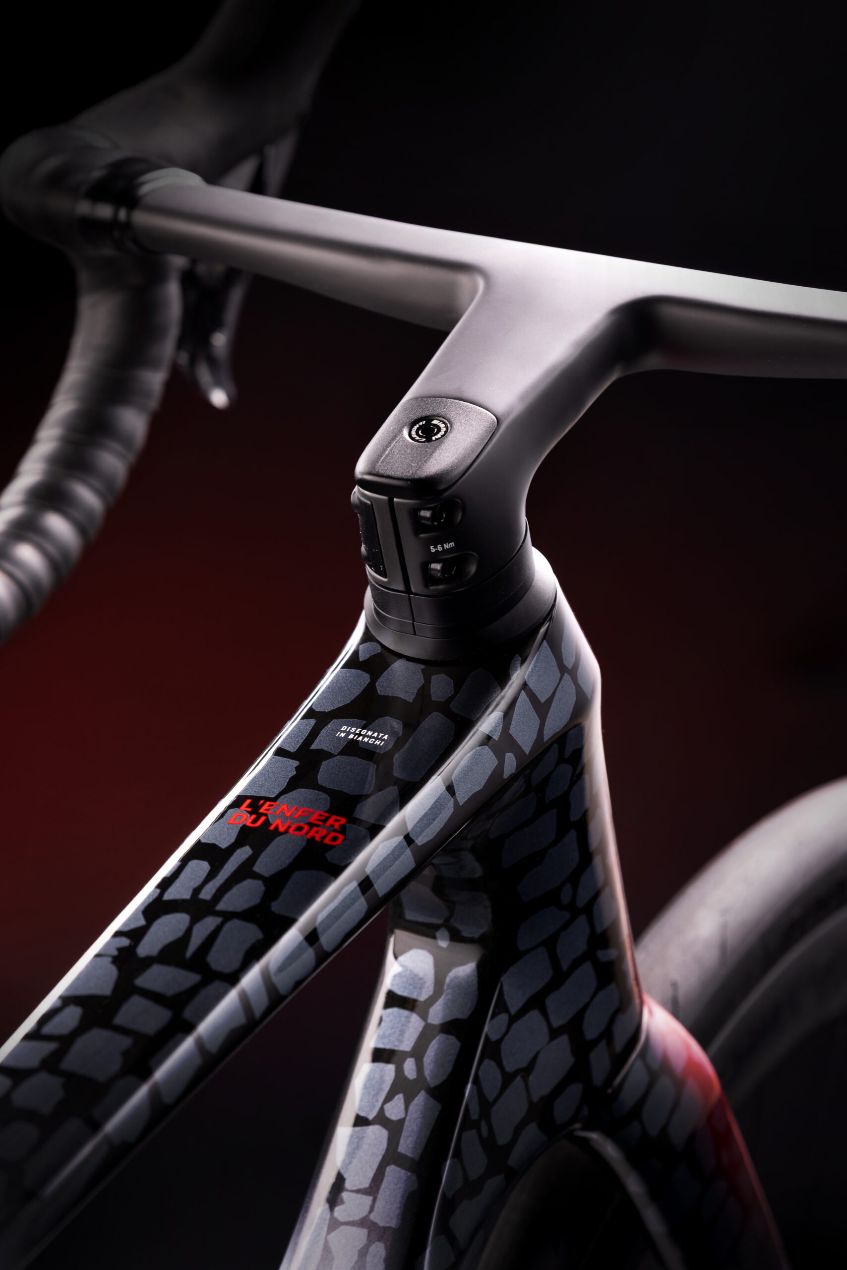 bianchi-infinito-pro-paris-roubaix-rahmenset-carbon-disc-40mm image 4
