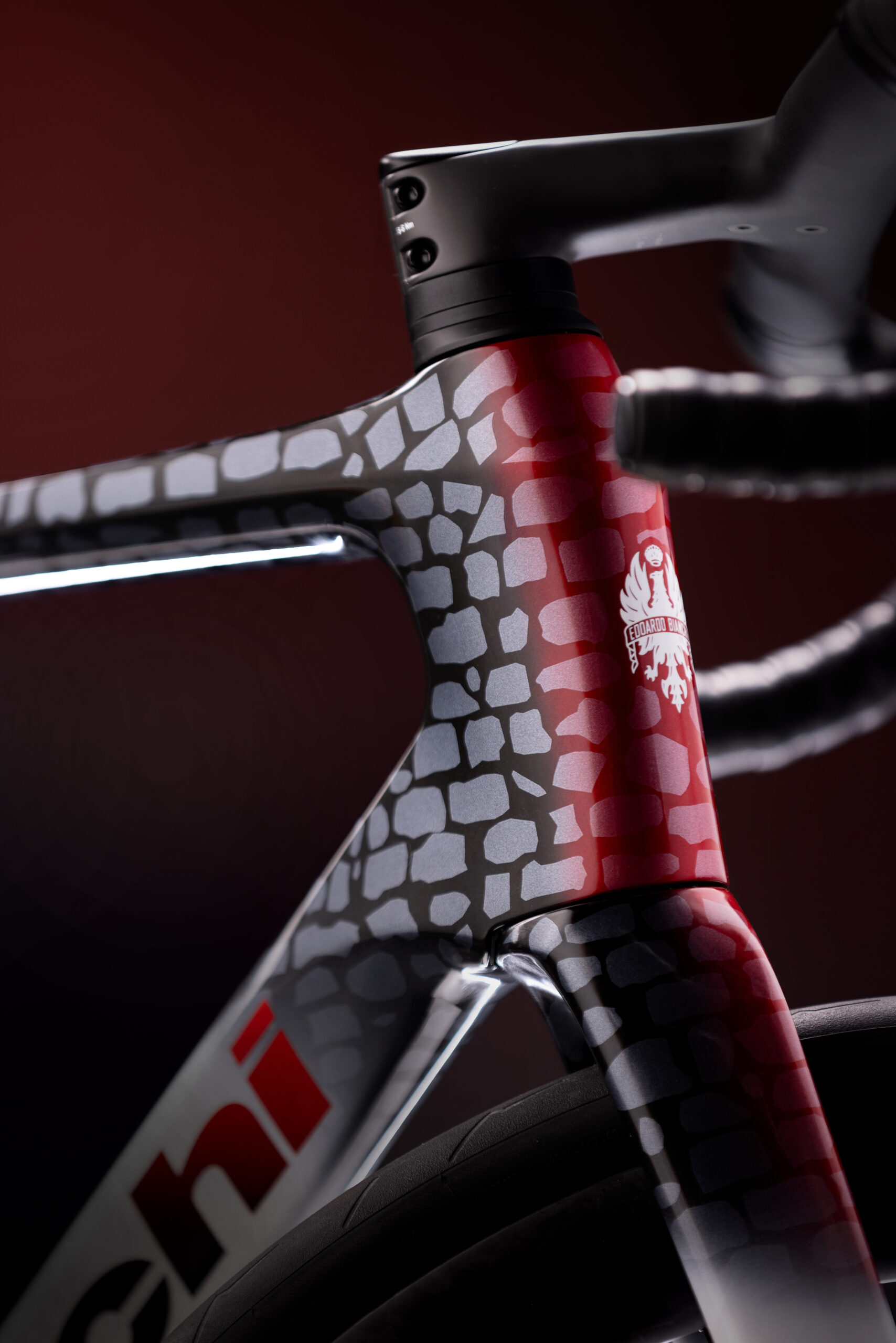 bianchi-infinito-pro-paris-roubaix-rahmenset-carbon-disc-40mm image 3