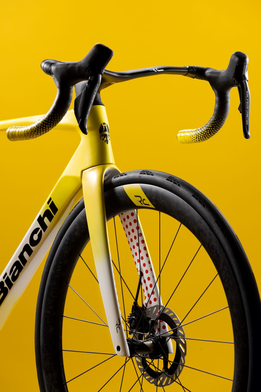 bianchi-specialissima-rc-tour-de-france-rahmenset image 2
